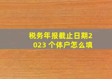 税务年报截止日期2023 个体户怎么填